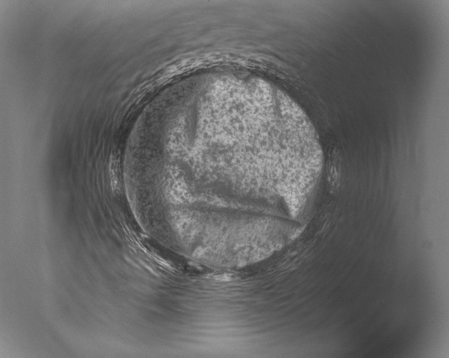 X0000076301490200610201530