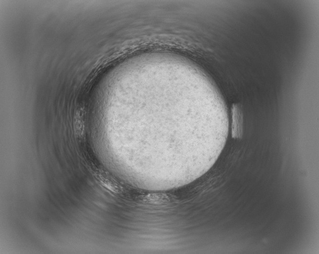 X0000076301491200610201530