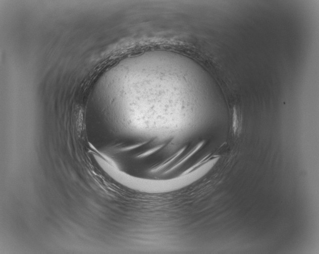 X0000076301492200610201530