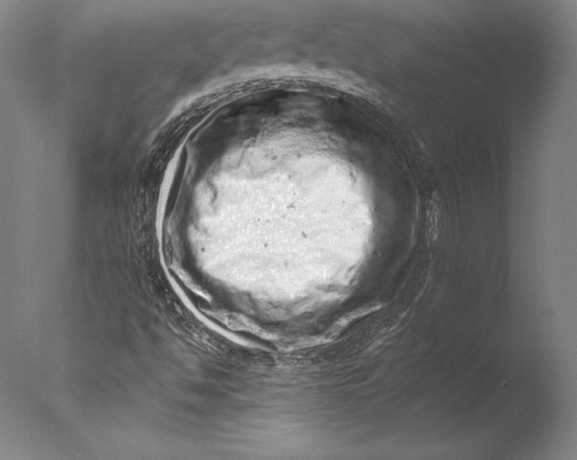 X0000076301494200610201530