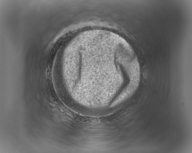 X0000076301495200610201530