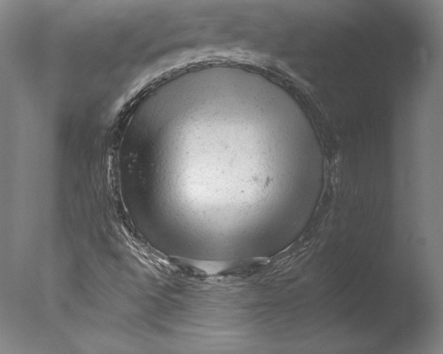 X0000076301496200610201530