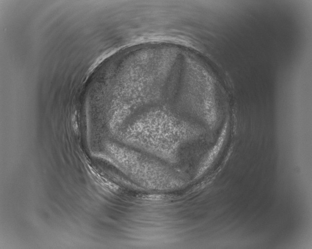 X0000076301497200610201530