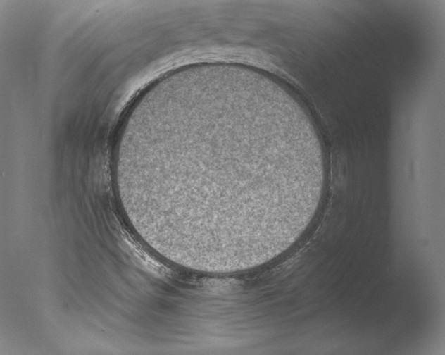 X0000076301498200610201530