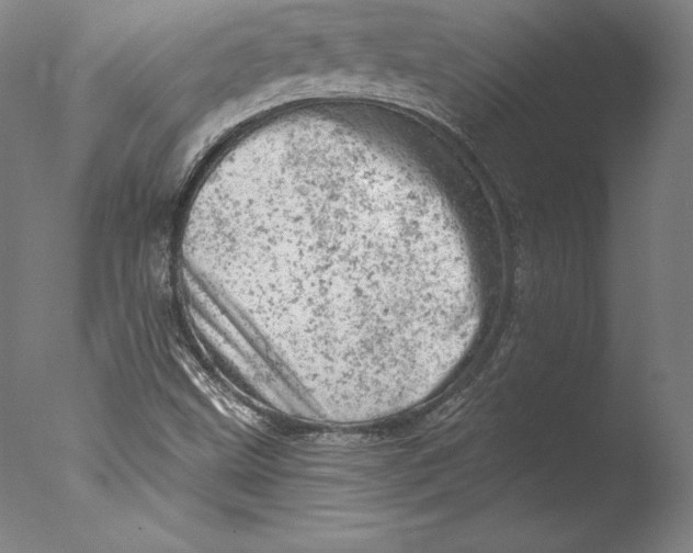 X0000076301499200610201530