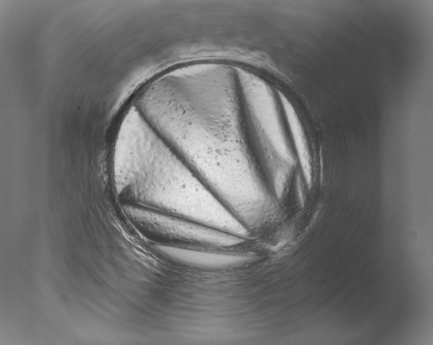 X0000076301501200610201530