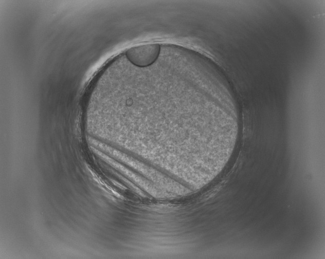 X0000076301502200610201530