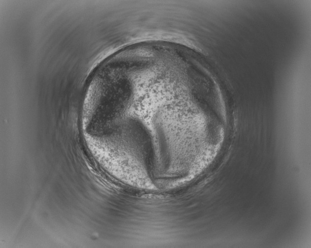 X0000076301505200610201530