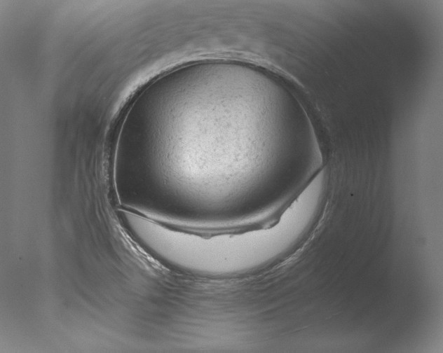 X0000076301506200610201530