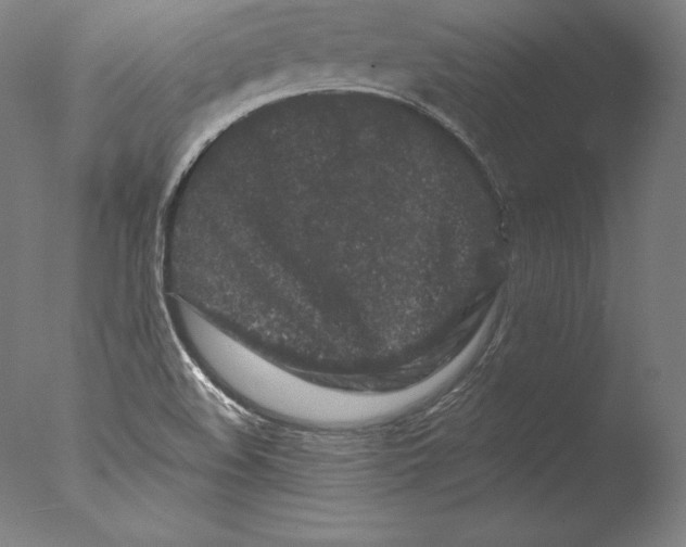 X0000076301508200610201530