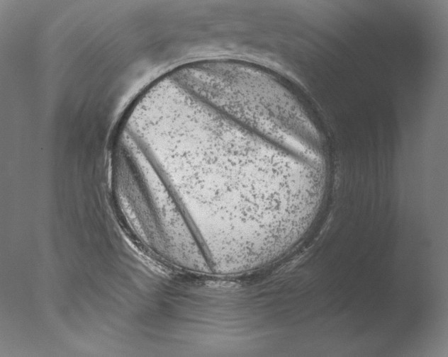 X0000076301509200610201530