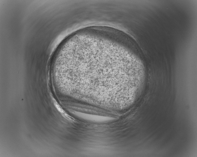 X0000076301511200610201530