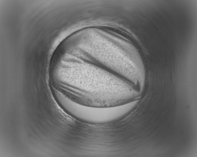 X0000076301512200610201530