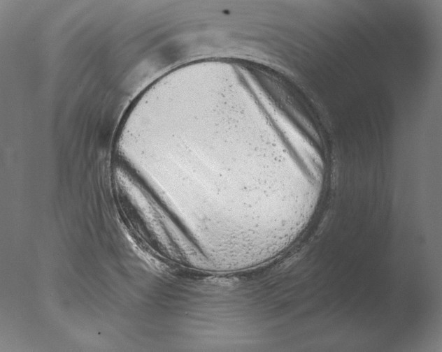 X0000076301513200610201530