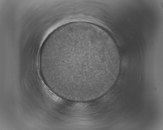 X0000076301514200610201530