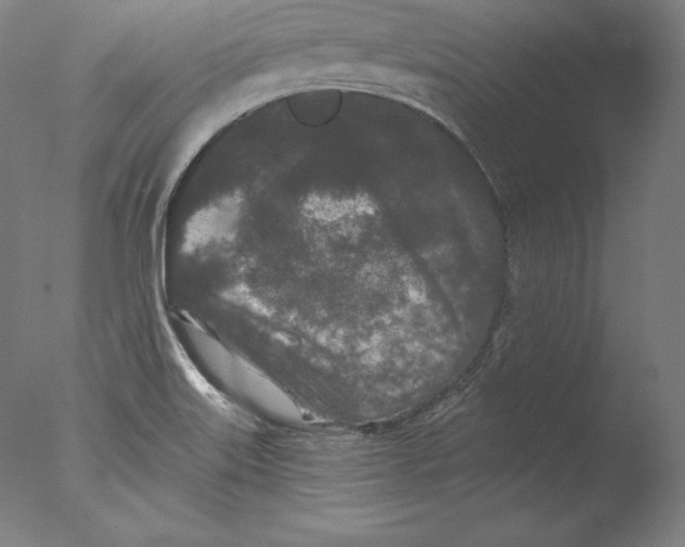 X0000076301515200610201530