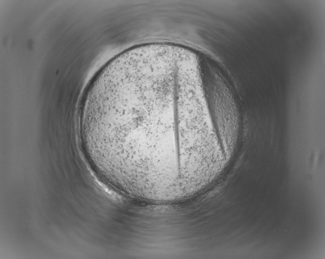 X0000076301517200610201530