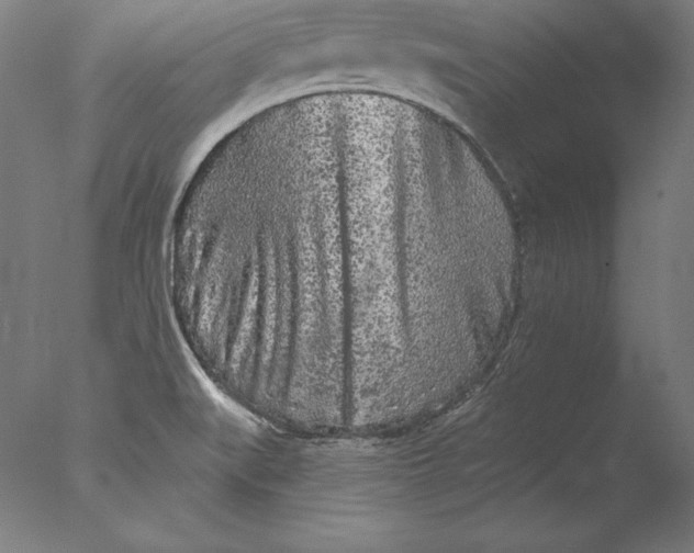 X0000076301519200610201530