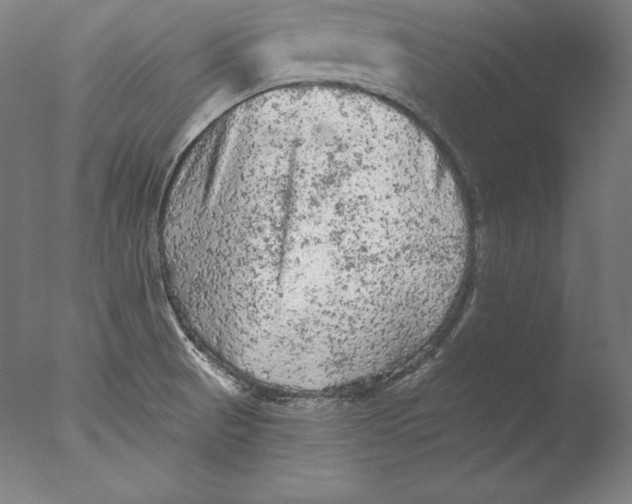 X0000076301521200610201530