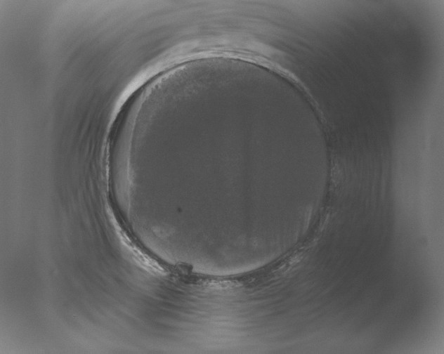 X0000076301522200610201530