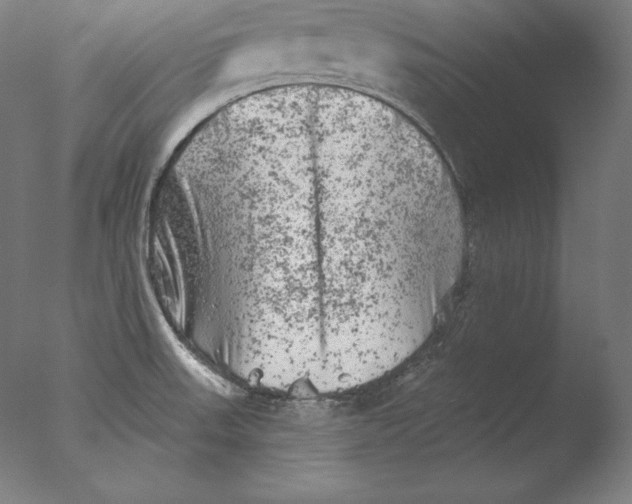 X0000076301523200610201530