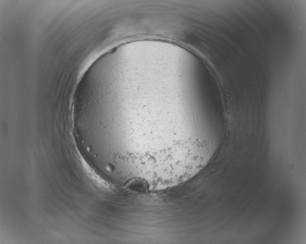 X0000076301524200610201530