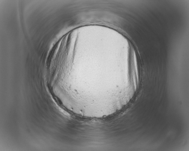 X0000076301525200610201530