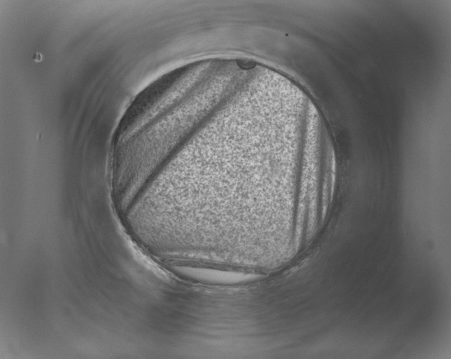 X0000076301526200610201531