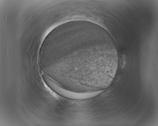 X0000076301527200610201531