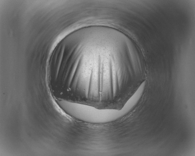 X0000076301528200610201531