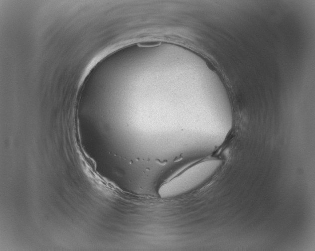 X0000076301530200610201531