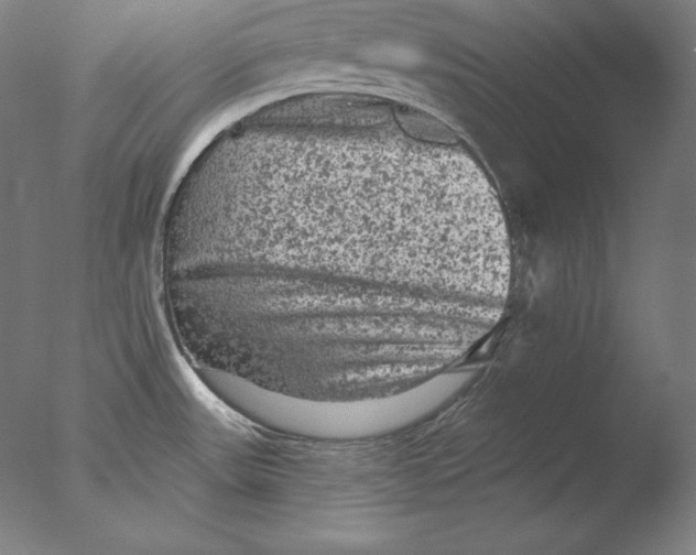 X0000076301531200610201531