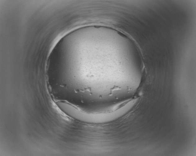 X0000076301532200610201531