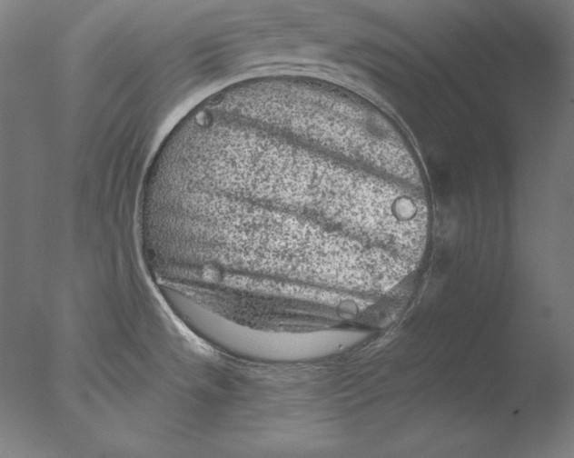 X0000076301533200610201531