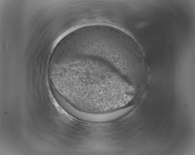 X0000076301534200610201531