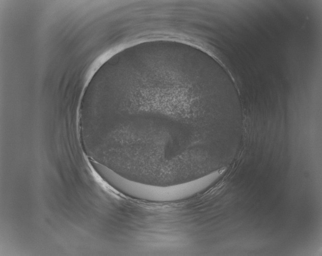 X0000076301535200610201531