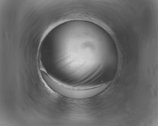 X0000076301536200610201531