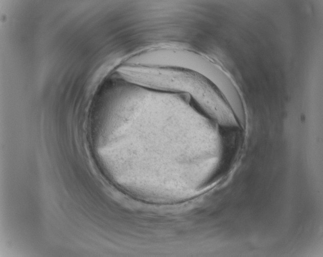 X0000076300001200610271926