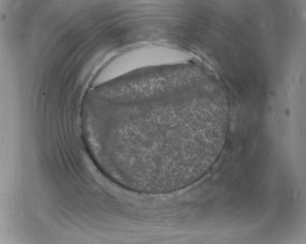 X0000076300002200610271926