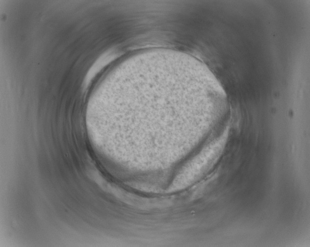 X0000076300004200610271926