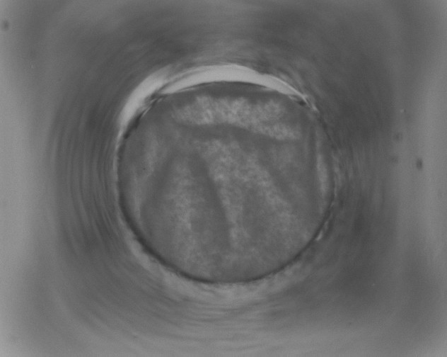 X0000076300006200610271926