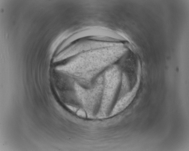 X0000076300007200610271926