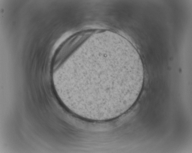 X0000076300008200610271926