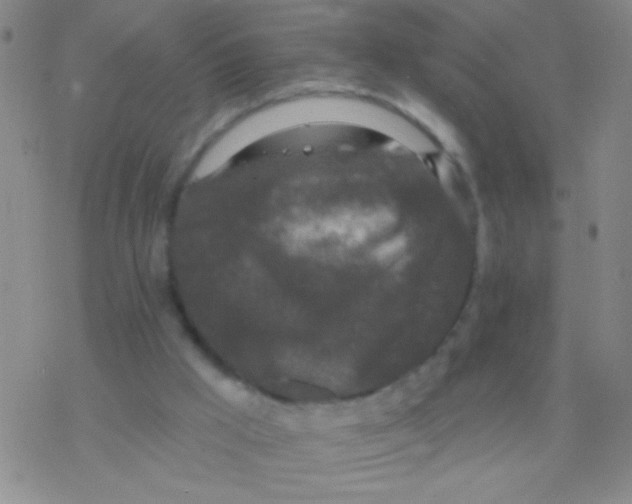 X0000076300009200610271926