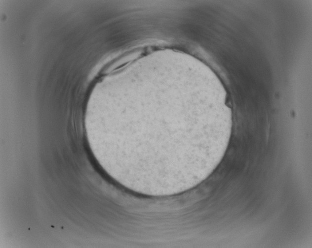 X0000076300011200610271926