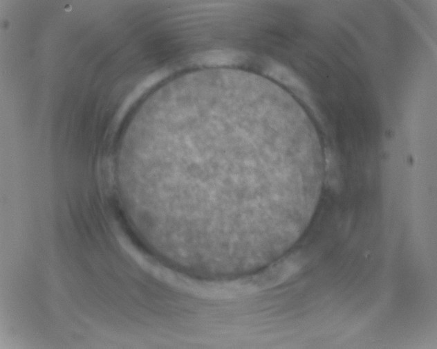 X0000076300012200610271926