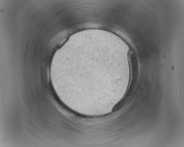 X0000076300013200610271926