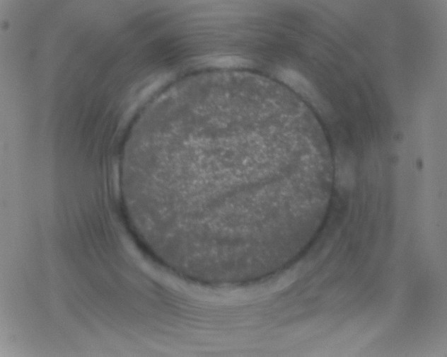 X0000076300014200610271926