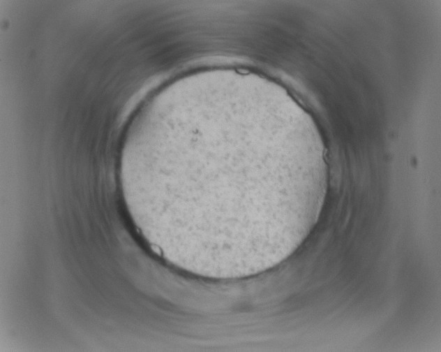 X0000076300015200610271926