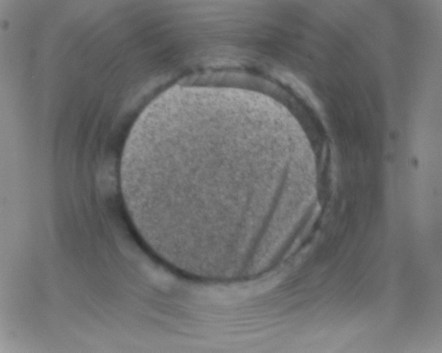 X0000076300017200610271925